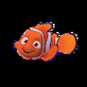 Meet your Posher, Isabella